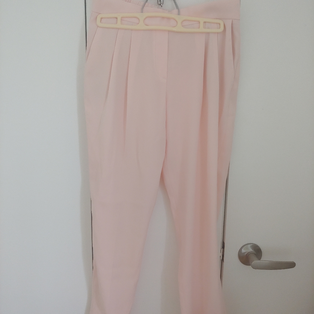 Babaton Cohen pants - Picture 2 of 5